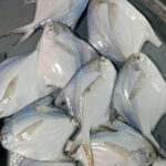 IMG-20250317-WA0014rfss-886x1024