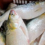 IMG-20250317-WA00ry14-886x1024