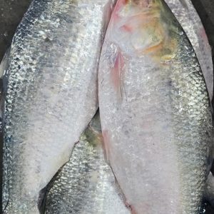 ৬ কেজিতে তিন পিস ৪০০০ টাকা